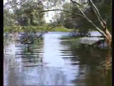 film o projekcie gospodarka sciekowa na terenie zielonej gory i swidnicy 97