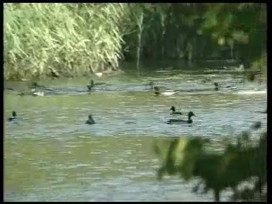 realizacja modelowej gospodarki wodno sciekowej aglomeracji zielona gora 38