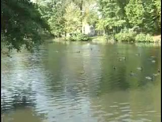 zielonogorskie wodociagi i kanalizacja 50 lat w sluzbie miasta 128