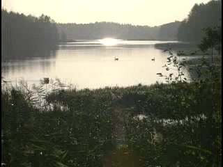 zielonogorskie wodociagi i kanalizacja 50 lat w sluzbie miasta 129